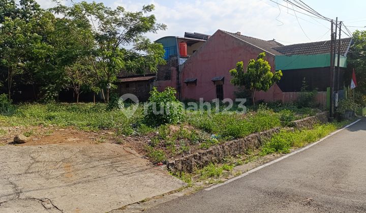 Jual Tanah Pekarangan Dekat Undip 1