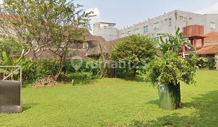 Rumah Mewah Asri Tanah Luas di Bawah NJOP Letak Strategis di Ragunan, Jakarta Selatan