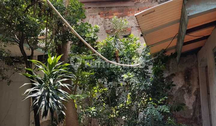 Rumah Luas Asri 2 Lantai Lokasi Strategis Dekat ke Blok M di Cilandak, Jakarta Selatan 2