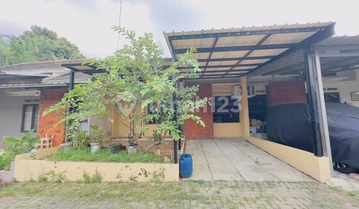Ready-to-Live House on Arco Street, Certificate of Ownership, 2 Bedrooms, East-Facing Ready-to-Live House on Arco Street, Certificate of Ownership, 2 Bedrooms, East-Facing