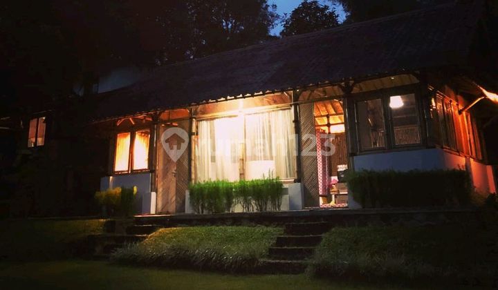 Dijual Tanah di Kaki Gunung Cocok untuk Camping Ground Dijual Tanah di Kaki Gunung Cocok untuk Camping Ground