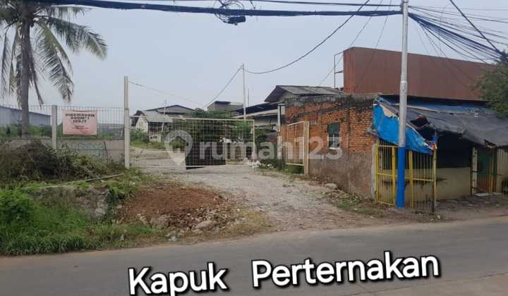 Land for Sale in Kapuk SHM 15,000 m² Negotiable Land for Sale in Kapuk SHM 15,000 m² Negotiable