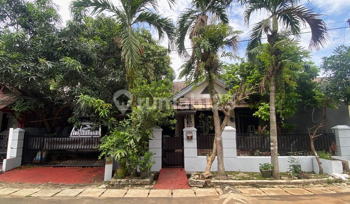 Dijual Rumah Murah Luas Strategis di Komplek Sarana Indah Permai Kedaung Pamulang Tangerang Selatan Dijual Rumah Murah Luas Strategis di Komplek Sarana Indah Permai Kedaung Pamulang Tangerang Selatan