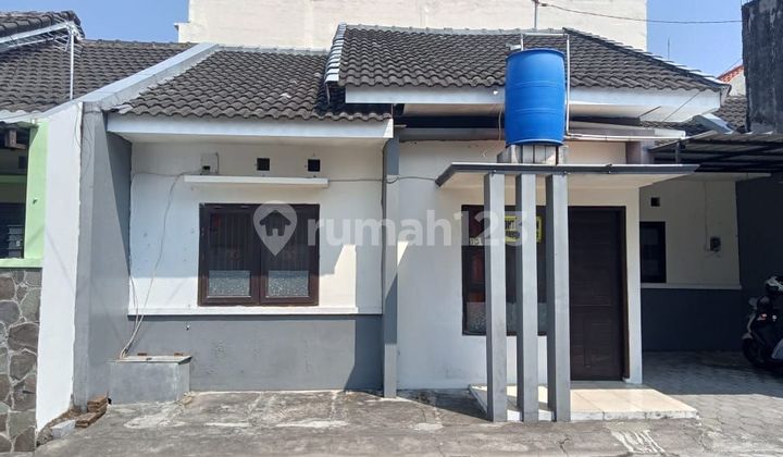 Affordable Cluster House Near Ums Campus and Alana Hotel