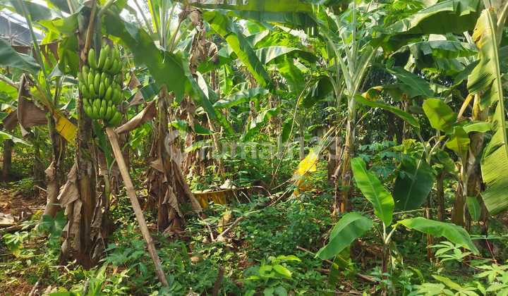 Dijual Tanah Kosong Siap Huni Berlokasi Strategis Dijual Tanah Kosong Siap Huni Berlokasi Strategis