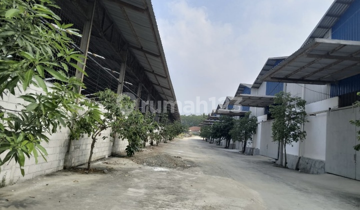 Warehouse for Rent, Ready to Occupy in Jonggol, by the Main Road!