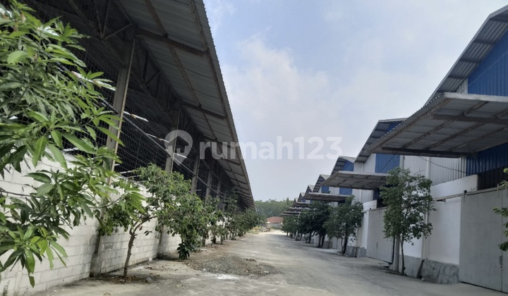 Warehouse for Rent, Ready to Occupy in Jonggol, by the Main Road!