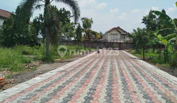 Dijual Tanah Bebas Banjir Strategis Dekat Kampus Ipb Bogor Dijual Tanah Bebas Banjir Strategis Dekat Kampus Ipb Bogor