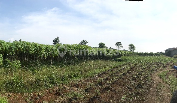 LAND FOR SALE, FLOOD-FREE, SPACIOUS AREA IN KRIKIL VILLAGE, BOGOR LAND FOR SALE, FLOOD-FREE, SPACIOUS AREA IN KRIKIL VILLAGE, BOGOR