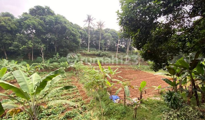 Jual Tanah Produktif Di Jl.alternatif Sukabumi Jual Tanah Produktif Di Jl.alternatif Sukabumi