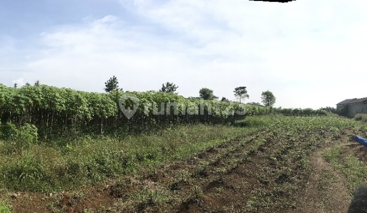 LAND FOR SALE, FLOOD-FREE, SPACIOUS AREA IN KRIKIL VILLAGE, BOGOR LAND FOR SALE, FLOOD-FREE, SPACIOUS AREA IN KRIKIL VILLAGE, BOGOR