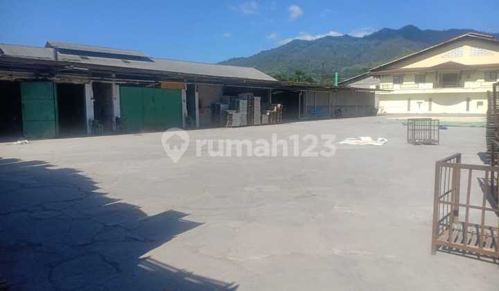 Active Cracker Factory For Sale Cheap in Sumedang