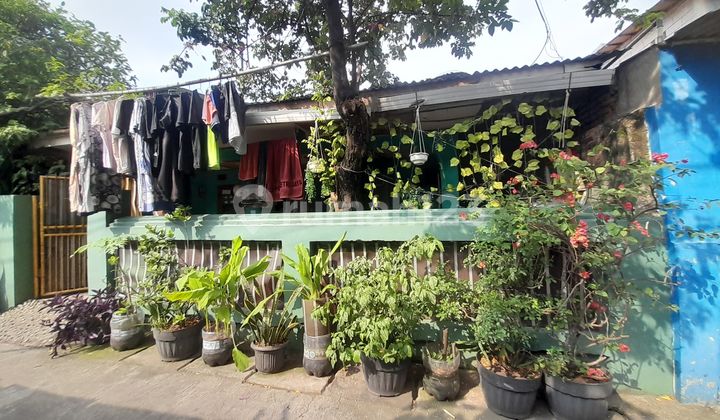 Dijual Rumah Di Semper Barat Bisa Di Bangun Jadi Dua Rumah