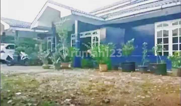 For Sale Cheap House, Land Price Only and Below Market Value. 2