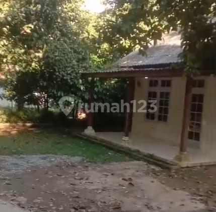 Tanah Kavling di Bogor Dapat Pohon Manggis & Durian (73597 LAN)