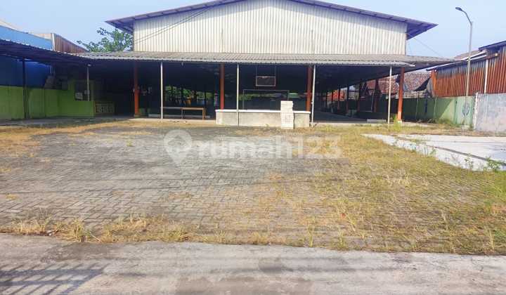 For rent: Former futsal field land on the side of the highway