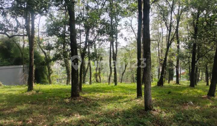 For Sale: Land Plot Inside Bukit Golf Hijau Sentul Cluster with Toll Road Access