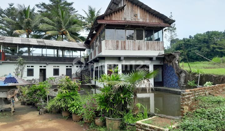 Jual Tanah Luas Bonus Bangunan Rumah Di Ciomas Bogor Jawa Barat