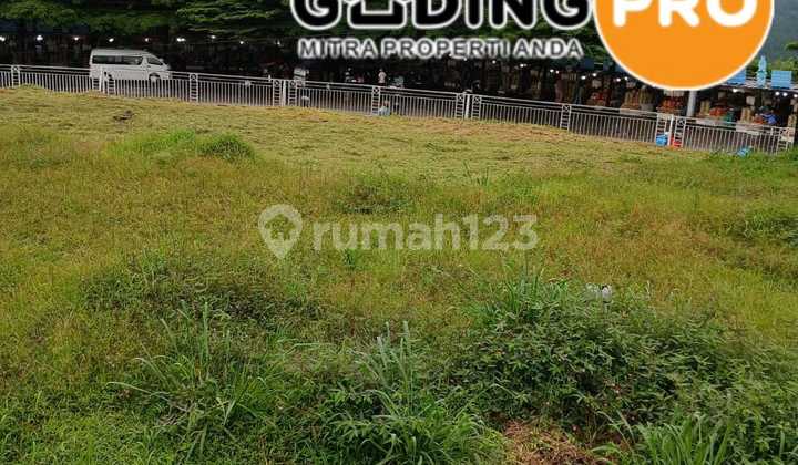 Di Jual Tanah Pinggir Jalan Utama Puncak