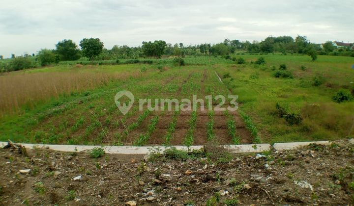 Dijual Murah Tanah di Dawarblandong, Mojokerto