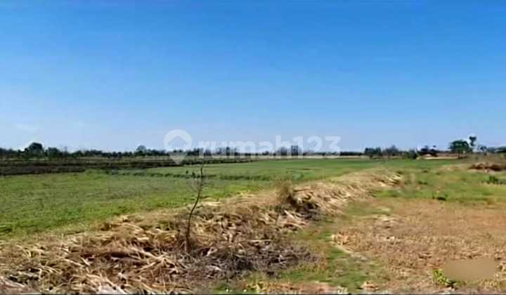 DIJUAL TANAH ZONA INDUSTRI KOMERSIAL DI RAYA LAKAR REJO, GRESIK