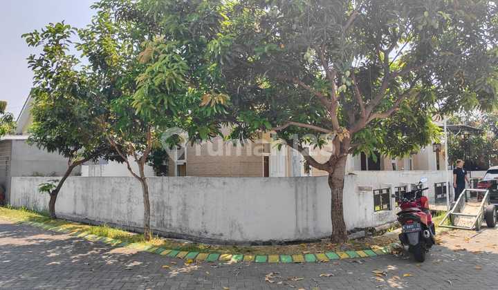 DIJUAL RUMAH DI GRAND SURYA BUDURAN 2