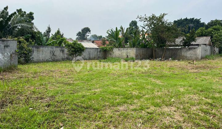 Tanah Murah Shm Jl Limus Kemang Bogor Bisa Nego Sampai Deal Tanah Murah Shm Jl Limus Kemang Bogor Bisa Nego Sampai Deal