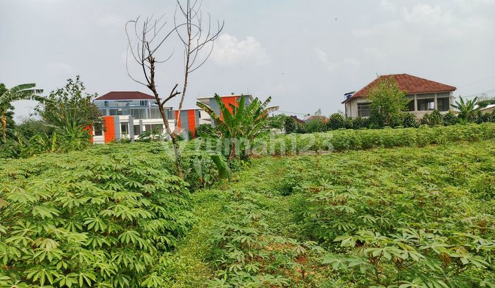 Tanah Siap Bangun Strategis Di Cimahpar Kota Bogor Tanah Siap Bangun Strategis Di Cimahpar Kota Bogor