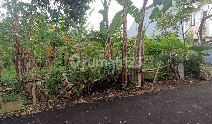 Tanah Murah Dibawah Njop Dekat Pajajaran Di Indraprasta Bogor