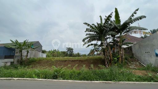 Strategic Land on the Side of Cibuntu Highway, Ciampea, Bogor