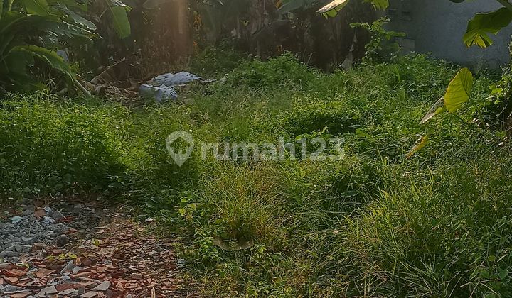 Tanah Murah Shm Dekat Jalan Raya Taman Cimanggu Kota Bogor Tanah Murah Shm Dekat Jalan Raya Taman Cimanggu Kota Bogor