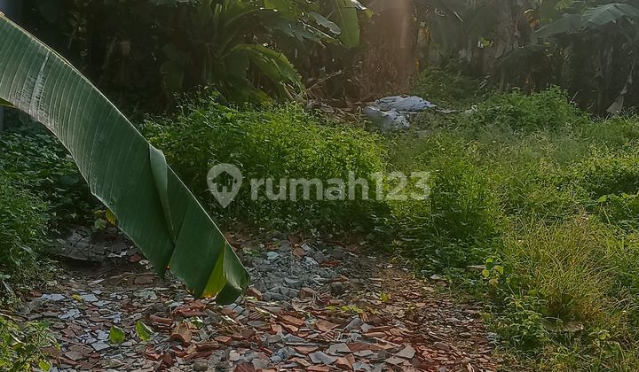 Tanah Murah Shm Dekat Jalan Raya Taman Cimanggu Kota Bogor