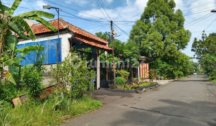 Tanah Dibawah NJOP di Bogor Baru Dekat Kampus Pakuan