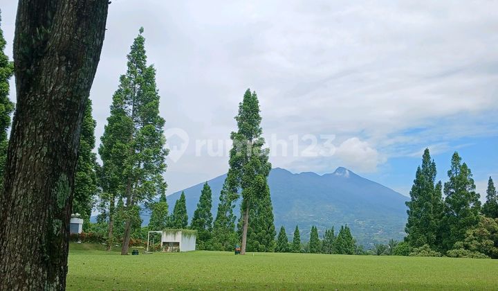 Lot Size 1167M² View of Mount Salak Rancamaya Bogor