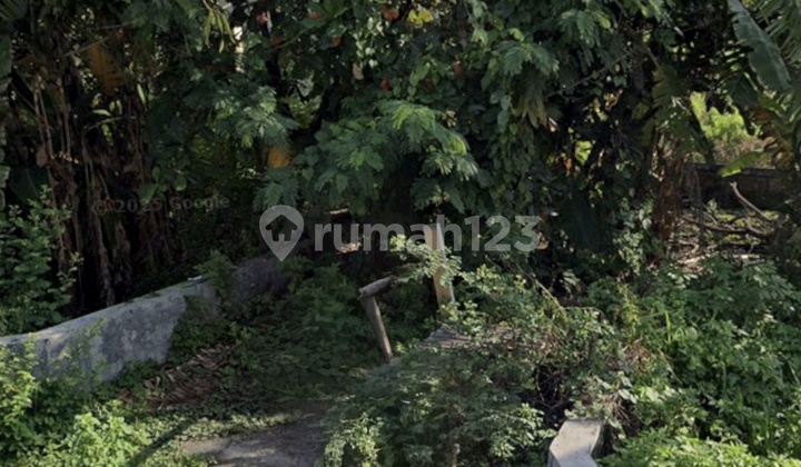 For Sale Ready-to-Build Plots in Grogol Gebangmalang Mojoanyar Mojokerto For Sale Ready-to-Build Plots in Grogol Gebangmalang Mojoanyar Mojokerto