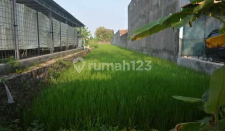 Gold Investment Near UMY Campus Gold Investment Near UMY Campus