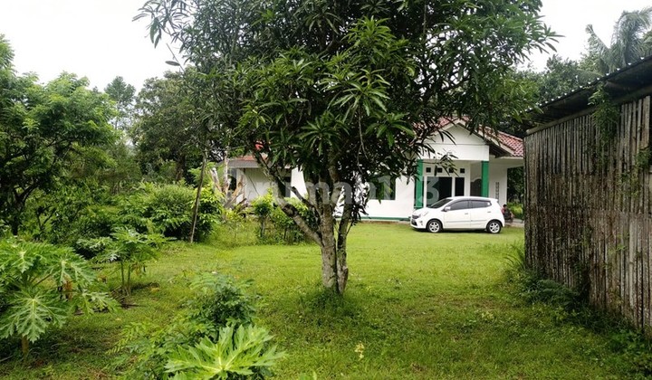 For Quick Sale, Super Large Plot of Land 25,171 Square Meters on the South Ring Road of Kebumen (Main Route)