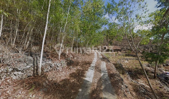 Dijual Tanah Luas 10764 Meter Persegi Lokasi Dekat Pantai Butuh, Saptosari, Gunung Kidul