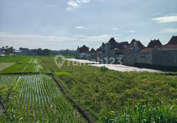 Dijual/Disewakan Tanah Strategis 2.020 Meter Persegi 2 Muka, Cocok untuk Perumahan & Resto di Prambanan, Klaten