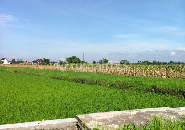 Dijual/Disewakan Tanah 2.520 Meter Persegi Cocok untuk Investasi Jangka Panjang, Bugisa, Prambanan, Klaten
