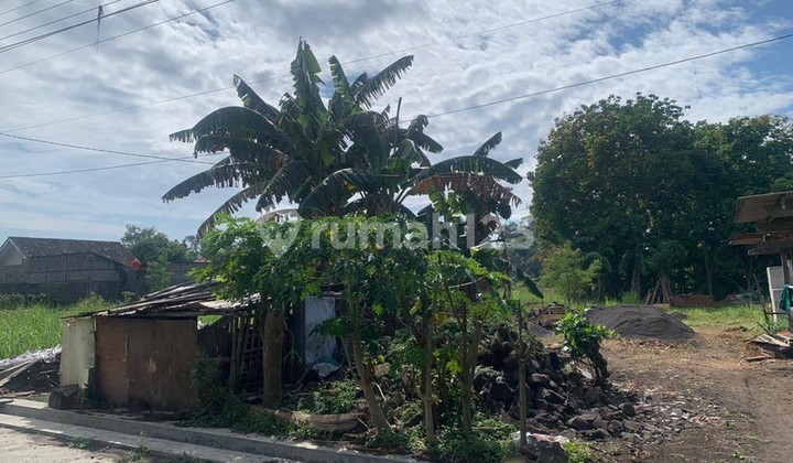 Tanah 300 Lokasi Dekat Pamela 7, Tirtomartani Kalasan Sleman