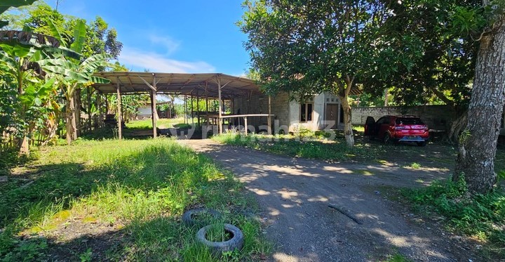 Dijual / Disewakan Tanah Luas Strategis Cocok untuk Investasi & Usaha di Jl. Daendels, Purworejo