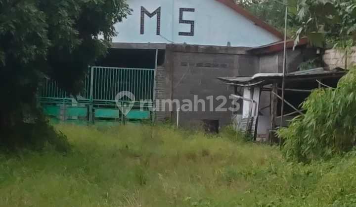 Good and Cheap Warehouse in Putat, Ngampel Kendal Good and Cheap Warehouse in Putat, Ngampel Kendal