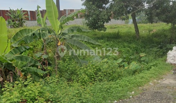 Wide Land Suitable for Warehouse/Business in Boja