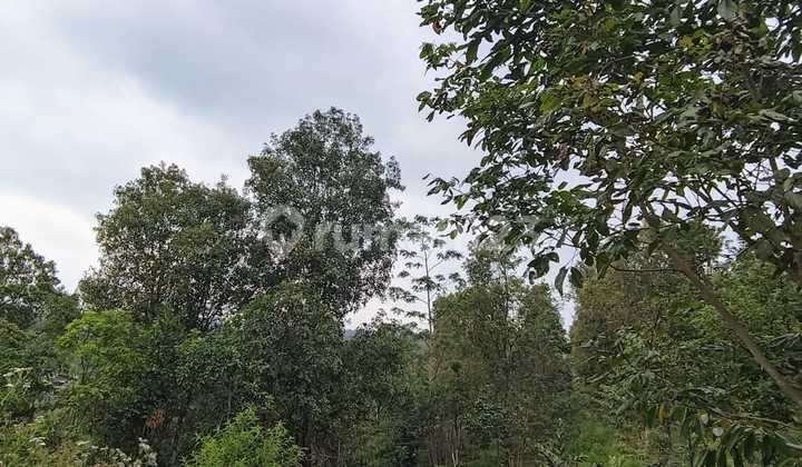 Good Strategic Land Suitable For Investment