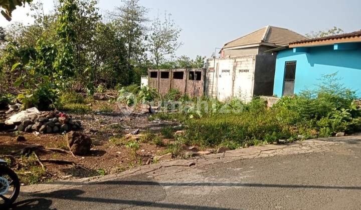 Tanah Kavling Di Tembalang Pinggir Jalan Kampung 1