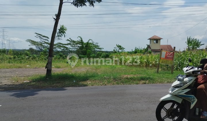 Tanah Pinggir Jalan Cocok Untuk Usaha Di Boja 2