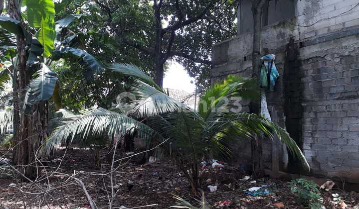 Need Money Urgently Quick Sale / Lots of Land Need Money Urgently Quick Sale / Lots of Land