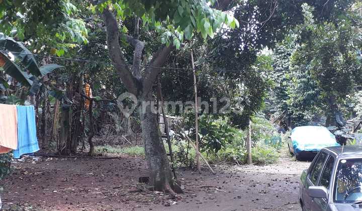 Need Money Urgently Quick Sale / Lots of Land Need Money Urgently Quick Sale / Lots of Land