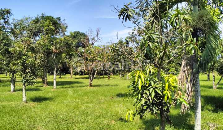 Dijual Kavling Bagus Di Tanggerang Dijual Kavling Bagus Di Tanggerang